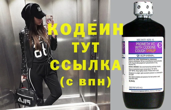 прущие грибы Ступино