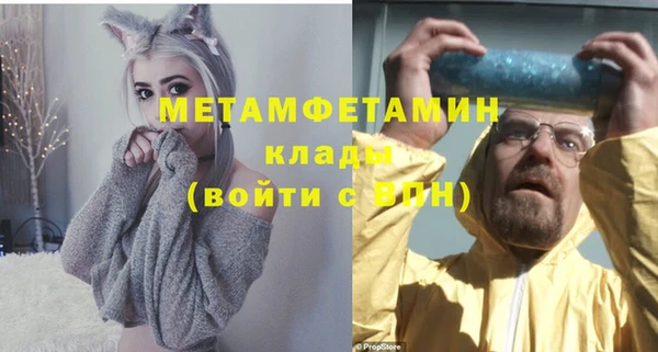 прущие грибы Ступино