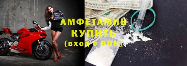 прущие грибы Ступино