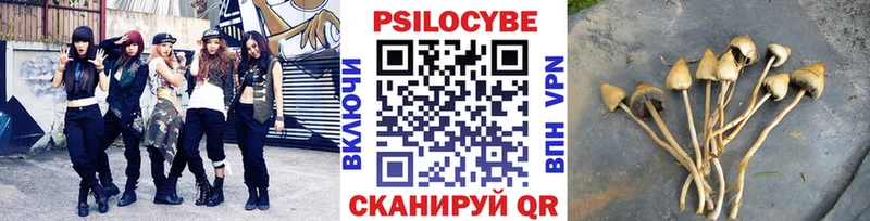 kraken ссылки  Шахты  Галлюциногенные грибы Cubensis 